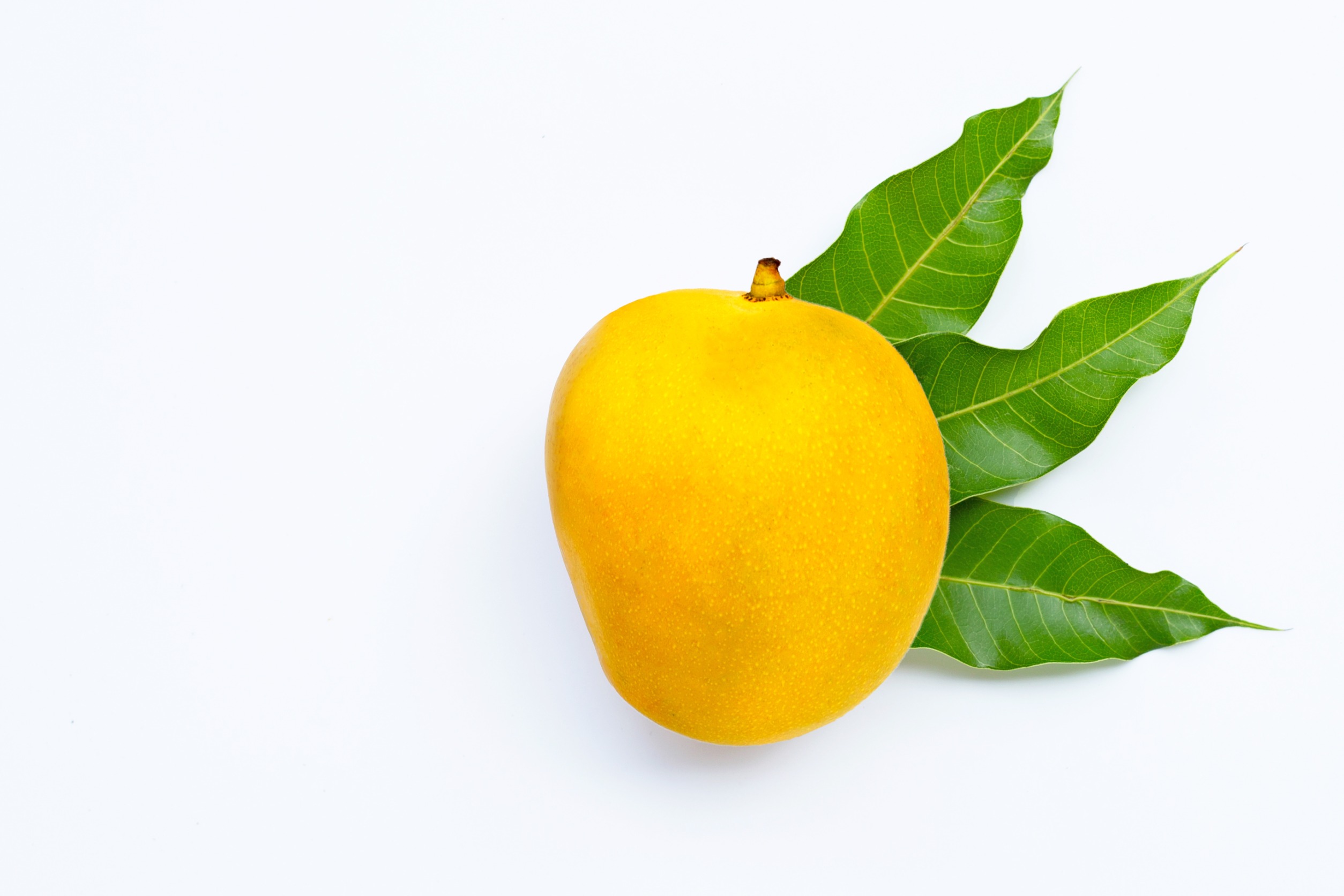 Alphonso Mangoes the King of Mangoes My Exotic Fruit The UK s Leading Exotic Fruit Retailer